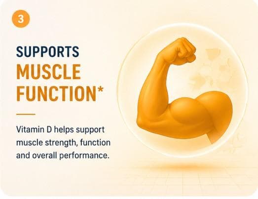 Supports Muscle Function
